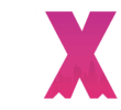 IX Logo
